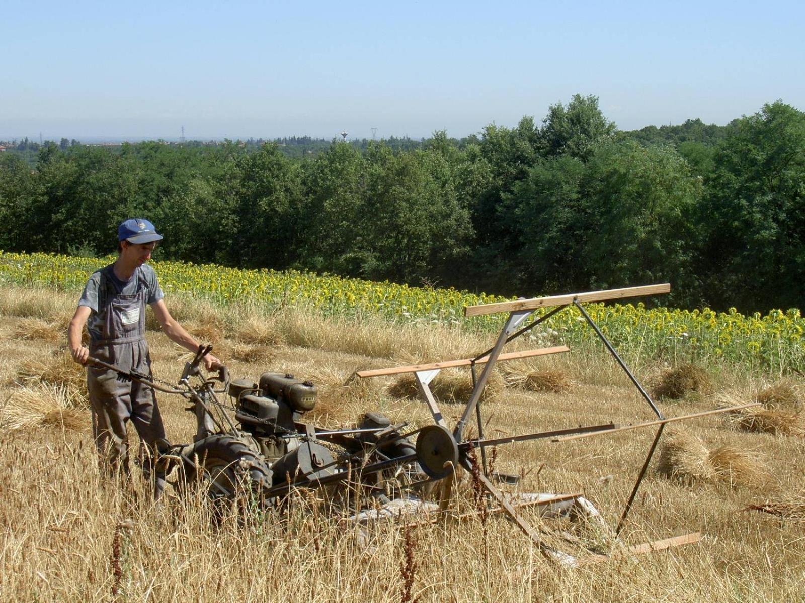 Agriturismo Cascina Degli Ulivi Novi Ligure Kültér fotó