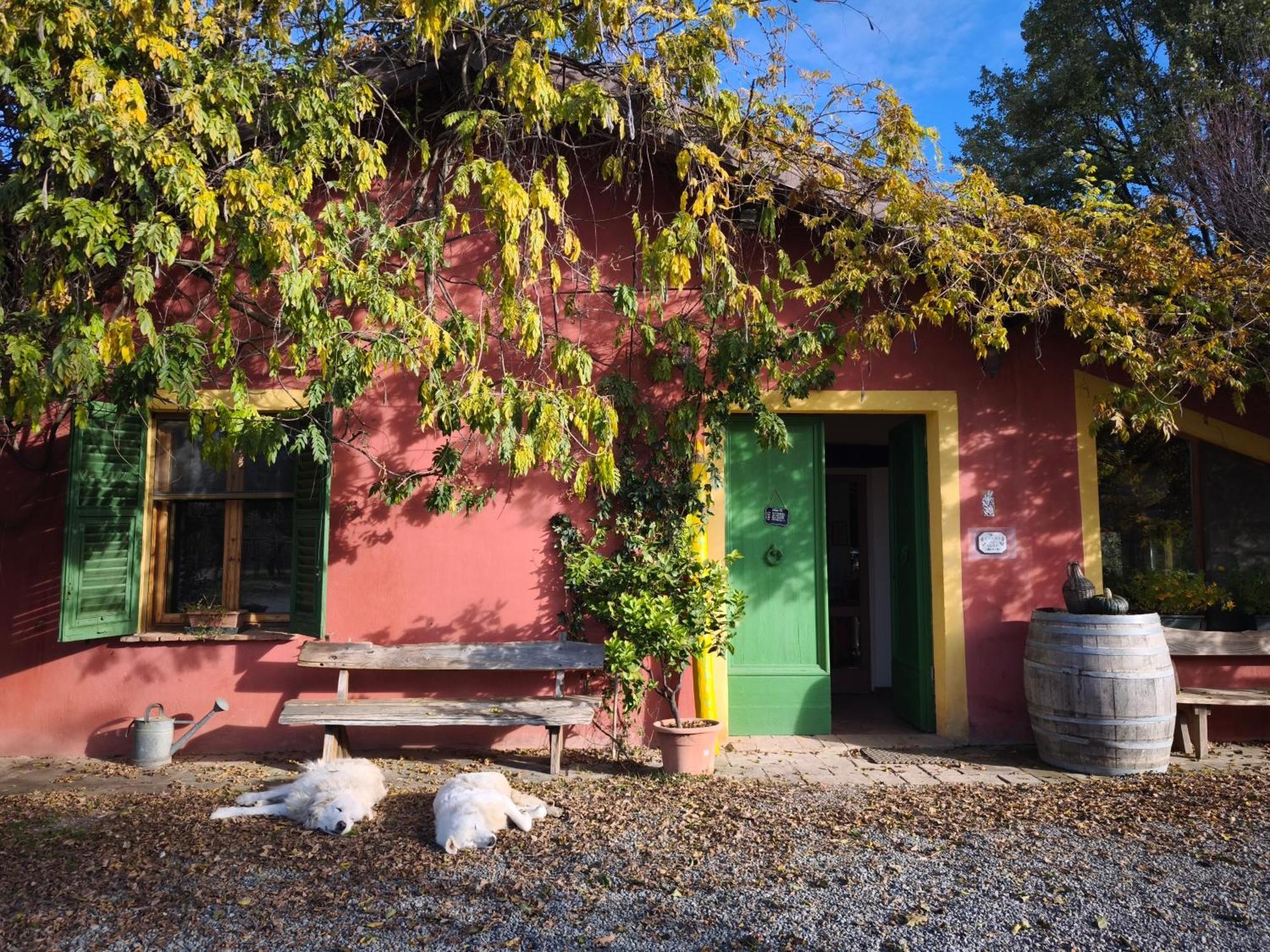 Agriturismo Cascina Degli Ulivi Novi Ligure Kültér fotó