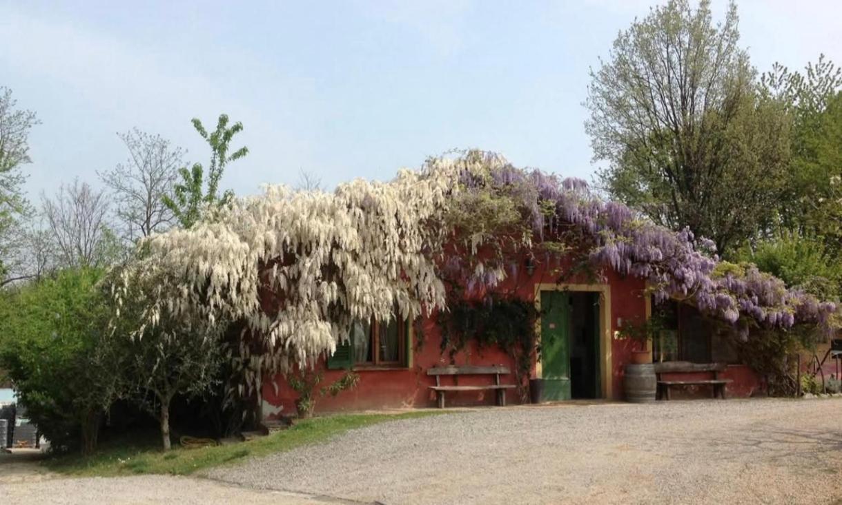 Agriturismo Cascina Degli Ulivi Novi Ligure Kültér fotó