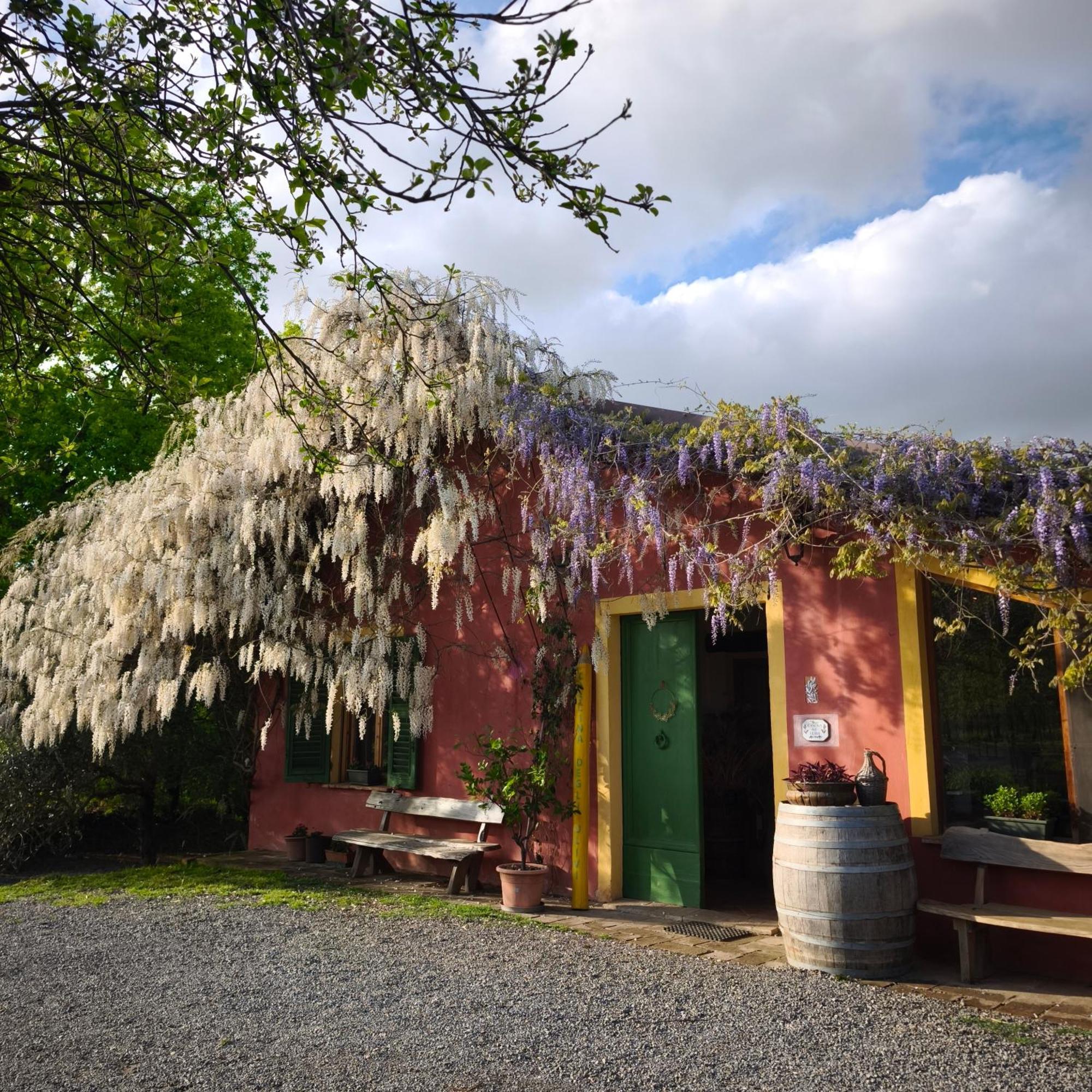 Agriturismo Cascina Degli Ulivi Novi Ligure Kültér fotó
